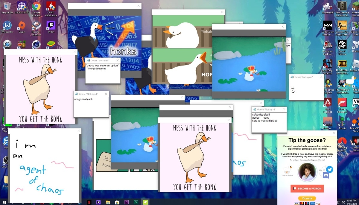 How to download the desktop goose